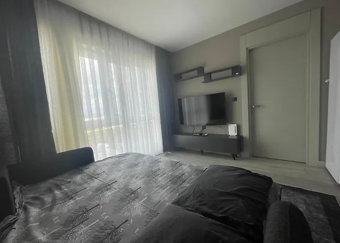 Luxury - Spa, Olympic Pool, Sauna No88 Apartment